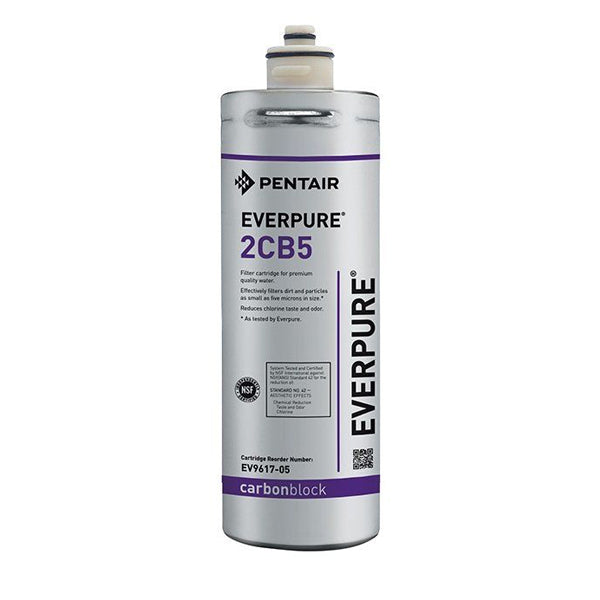 Everpure 2CB Replacement Cartridge