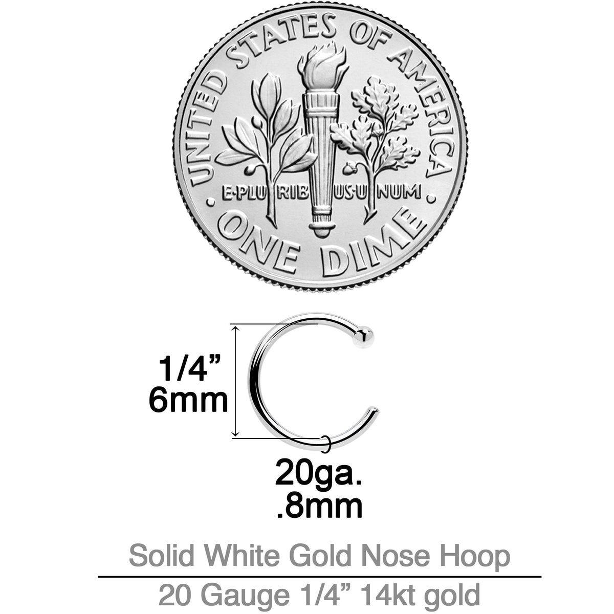 20G 1/4 14k Solid White Gold Nose Hoop